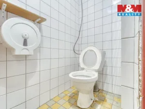 Pronájem skladu, Plzeň - Jižní Předměstí, Husova, 371 m2