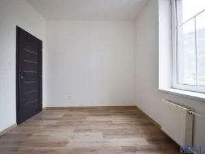 Pronájem bytu 3+kk, Ústí nad Labem - Střekov, Zeyerova, 50 m2