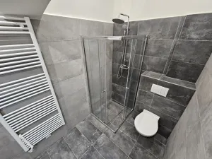 Pronájem bytu 3+1, Praha - Vinohrady, Mánesova, 86 m2