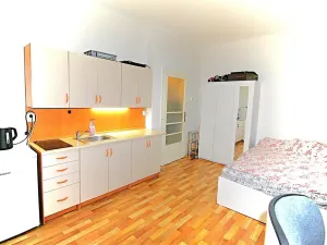 Pronájem bytu 1+kk, Praha - Nové Město, Na zbořenci, 24 m2