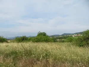 Dražba zahrady, Ploskovice, 23378 m2