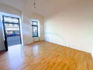 Pronájem obchodního prostoru, Praha - Karlín, Vítkova, 40 m2