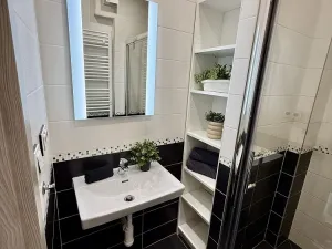 Pronájem bytu 2+1, Hradec Králové - Pražské Předměstí, U Koruny, 65 m2