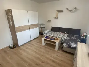 Pronájem bytu 2+1, Zlín, Padělky III, 68 m2