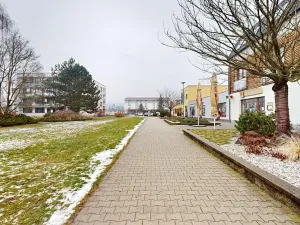 Prodej bytu 3+1, Týnec nad Sázavou, Jílovská, 71 m2