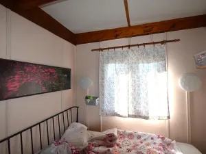 Prodej chaty, Přestavlky u Čerčan, 50 m2