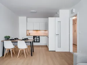 Pronájem bytu 3+kk, Praha - Vysočany, Hindlova, 62 m2