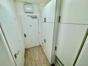 Pronájem bytu 1+kk, Brno, Trnitá, 27 m2