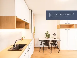 Pronájem bytu 1+kk, Brno, Cejl, 36 m2