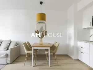 Pronájem bytu 2+kk, Praha - Žižkov, Olgy Havlové, 47 m2