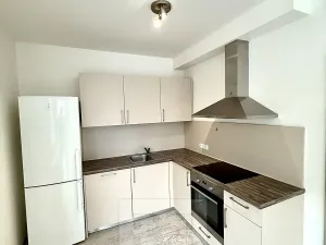 Pronájem bytu 1+kk, Praha - Karlín, Sokolovská, 40 m2