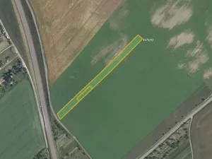 Prodej pole, Kuchařovice, 6602 m2