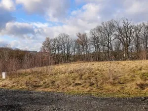 Prodej komerčního pozemku, Liberec, Na Mlýnku, 18685 m2