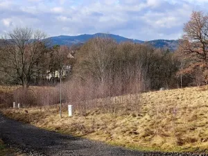 Prodej pozemku pro bydlení, Liberec, Na Mlýnku, 18685 m2