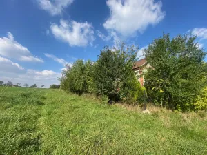 Prodej rodinného domu, Horní Bludovice, 524 m2