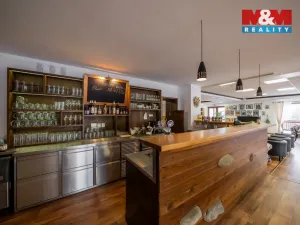 Prodej rodinného domu, Frýdlant nad Ostravicí - Lubno, 533 m2