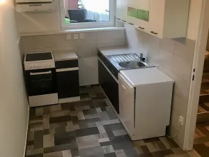 Pronájem bytu 1+1, Šternberk, Lesní, 50 m2