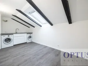 Pronájem bytu 6+kk a větší, Praha - Staré Město, Dušní, 218 m2