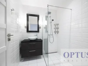 Pronájem bytu 6+kk a větší, Praha - Staré Město, Dušní, 218 m2