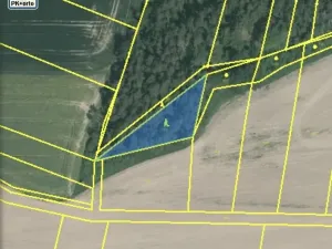 Dražba lesa, Blížejov, 1122 m2
