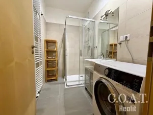 Pronájem bytu 1+kk, Plzeň, Vysoká, 38 m2