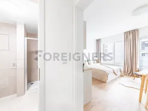 Pronájem bytu 1+kk, Brno, Spolková, 31 m2