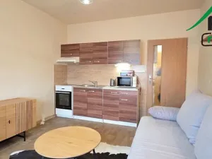 Pronájem bytu 1+kk, Tachov, Bělojarská, 25 m2