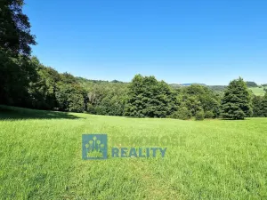 Prodej louky, Trutnov - Babí, 68585 m2