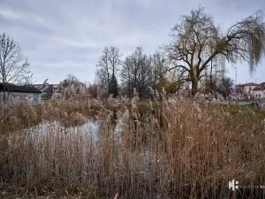 Pronájem bytu 1+kk, Praha - Dolní Měcholupy, Na návsi, 37 m2