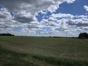 Prodej pozemku pro bydlení, Osice, 4000 m2