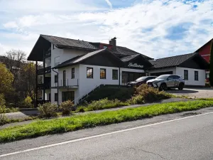 Prodej bytu 1+1, Železná Ruda, 37 m2