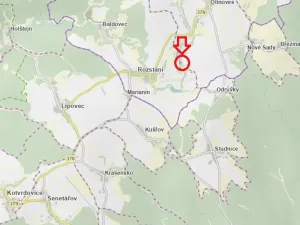 Prodej lesa, Otinoves, 1464 m2