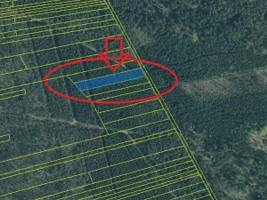 Prodej lesa, Dvory nad Lužnicí, 3483 m2
