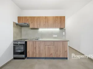 Pronájem bytu 1+1, Ústí nad Labem - Neštěmice, Seifertova, 35 m2