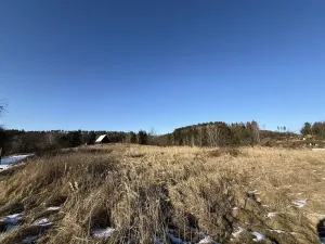 Prodej pozemku pro bydlení, Radnice, Puchmajerova, 850 m2