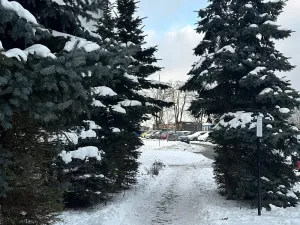 Pronájem bytu 1+kk, Liberec - Liberec XXX-Vratislavice nad Nisou, U Sila, 33 m2