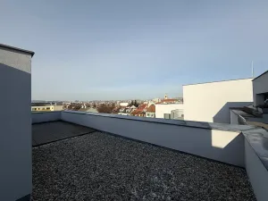 Pronájem bytu 1+kk, Brno, Táborská, 48 m2