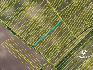 Prodej podílu pole, Rakvice, 689 m2