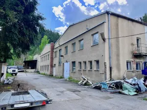 Prodej výrobních prostor, Skryje, 3000 m2