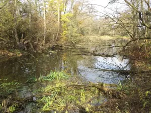 Dražba pozemku, Otrokovice, 810 m2