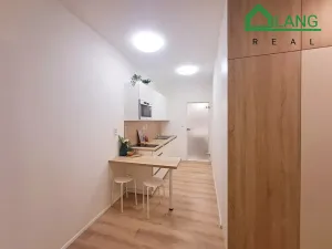 Pronájem bytu 1+kk, Brno, Rumiště, 25 m2