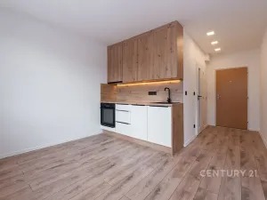 Pronájem bytu 2+kk, Litvínov, U Zámeckého parku, 35 m2