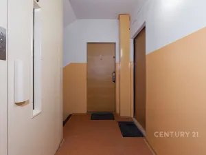 Pronájem bytu 2+kk, Litvínov, U Zámeckého parku, 35 m2