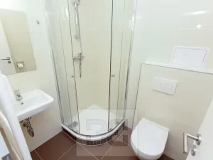 Pronájem bytu 1+kk, Praha - Krč, Budějovická, 21 m2