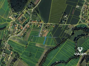 Prodej pole, Olšany, 1059 m2