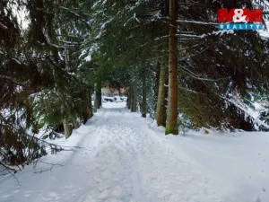 Prodej chaty, Kalek - Načetín, 70 m2