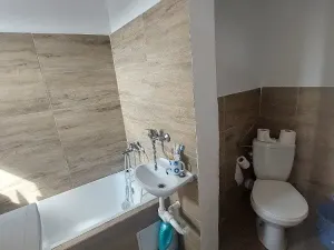 Prodej rodinného domu, Jenišovice, 225 m2