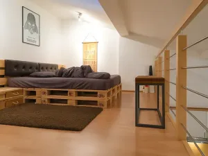 Pronájem bytu 1+kk, Brno, Botanická, 50 m2