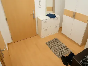 Pronájem bytu 1+kk, Brno, Botanická, 50 m2