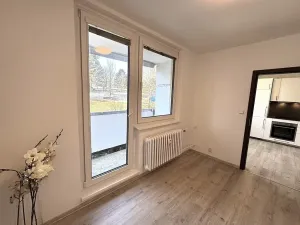 Prodej bytu 1+1, Brno, Prokofjevova, 36 m2